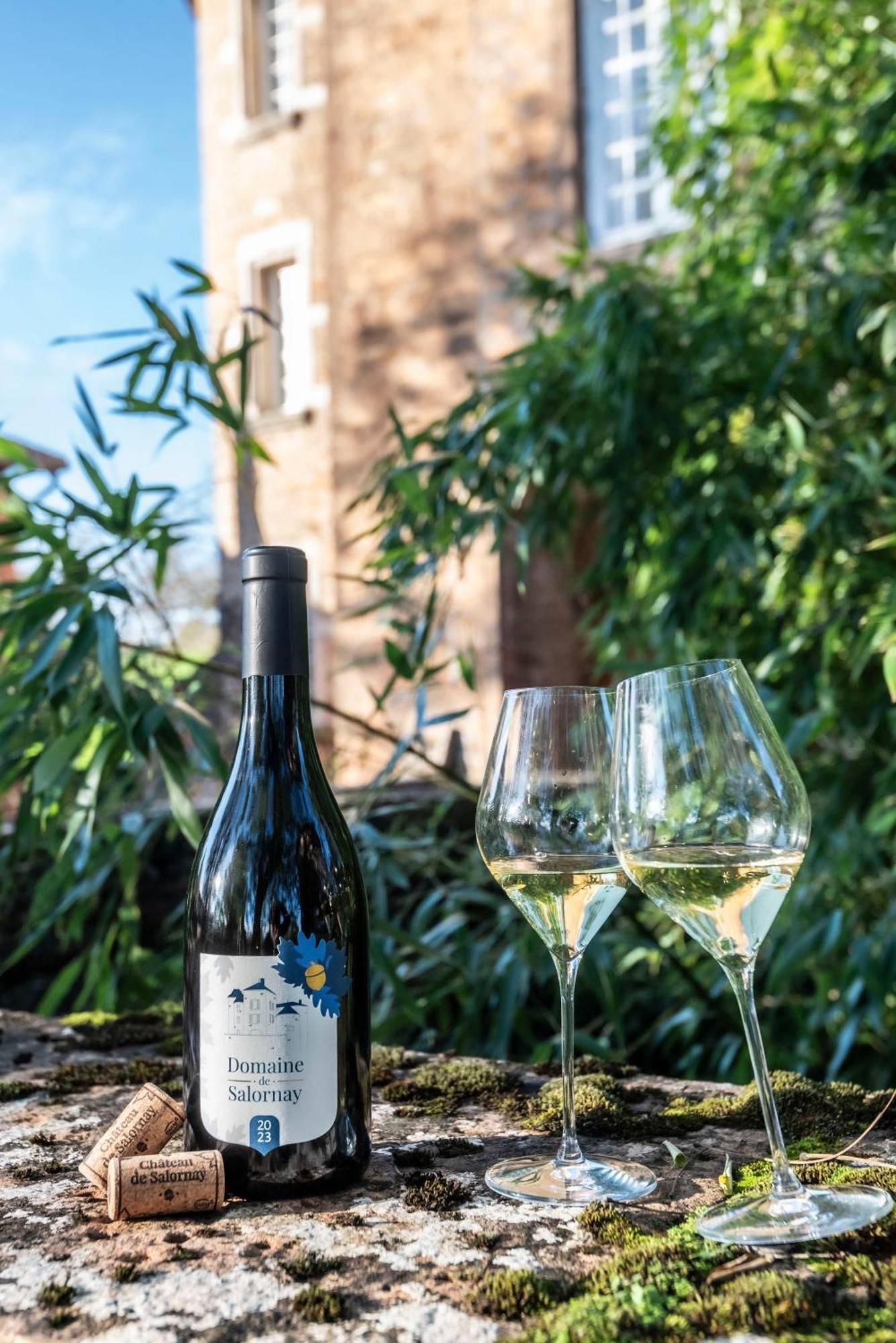 Chateau De Salornay Hurigny Ngoại thất bức ảnh